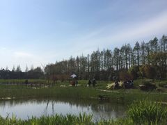 -上海长兴岛郊野公园