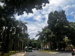 -深圳仙湖植物园