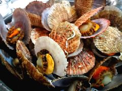 -宾朋海鲜美食特色餐厅·纯手工鲅鱼水饺(兴海路店)