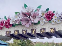 -贵州百里杜鹃风景名胜区