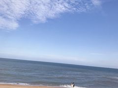 -日照海滨国家森林公园