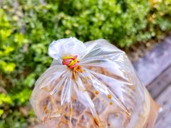 -春莱·老挝咖啡·泰式奶茶(钟楼店)