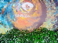 -贝壳梦幻世界