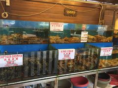 -真浪花园海鲜餐馆