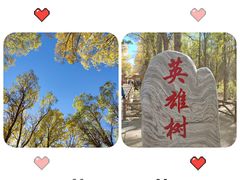 -金塔沙漠胡杨林景区