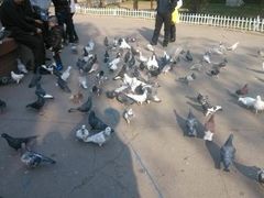 android_upload_pic-迎泽公园
