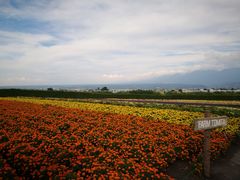 -富田农场