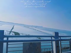 -莲花岛景区