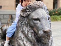 -布里斯班南岸公园