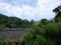 -杨家堂村