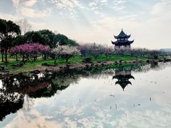 -上海海湾国家森林公园