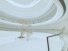 -上海宝龙美术馆