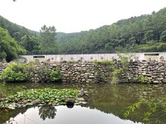 -九龙潭景区