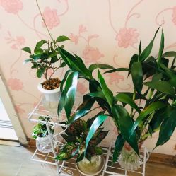 -本真坊美容美体沙龙