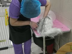-北京观赏动物医院·24小时大型综合·猫专科·异宠专科