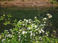 -山西通天峡景区
