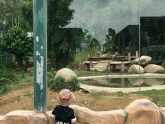 -泉州海丝野生动物世界