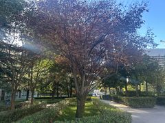 -木塔寺遗址生态公园