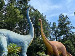 -森波拉奇妙世界