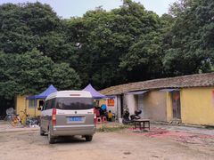 -黄埔油麻山森林公园