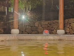 -宜兴富陶温泉