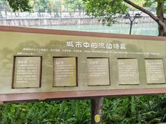 -成都市活水公园