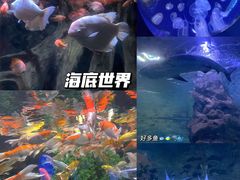 -厦门海底世界