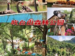 -楠溪江风景名胜区