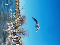 -捞渔河湿地公园