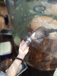 -Zoolung Zoolung动物主题公园(海信广场店)