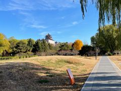 -莲花池公园