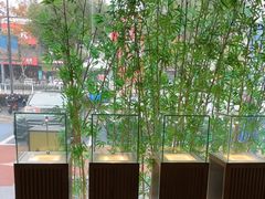 -新紫霞养生·影院足道·SPA(金山区店)