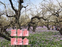 -江苏三台山国家森林公园