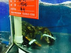 大堂-地方名吃海鲜大馅蒸饺(北戴河店)