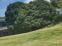 -南山植物园