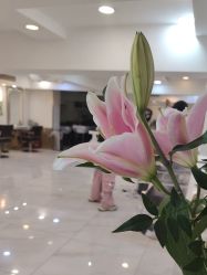 -雅仕 HAIR SALON 美发沙龙