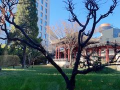 -九献创意菜·牛排馆(亮马河花园店)