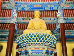 -隆兴寺