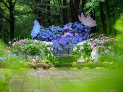 -上海滨江森林公园