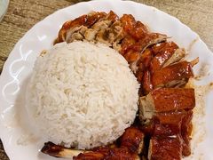 烧鹅饭-煲煲香快餐(南京路店)
