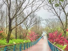 -上海吴淞炮台湾国家湿地公园