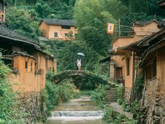 -杨家堂村