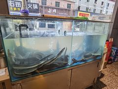 -本炙炭烤·蒲烧活鳗料理店(金沙洲店)