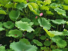 -南戴河国际娱乐中心