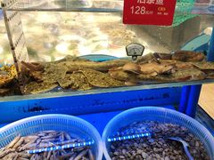 -小螺号海鲜·地道鲁菜(泉城广场店)