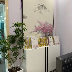 -紫琪尔胸部养护中心