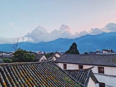 -喵屿·大理花园猫咖