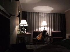 -成都绿洲大酒店(春熙路太古里店)