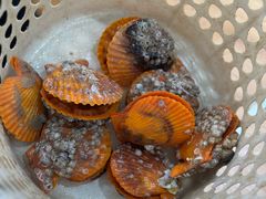 -小海豚•老字号海鲜餐厅(天涯店)