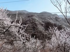 -妙峰山风景名胜区